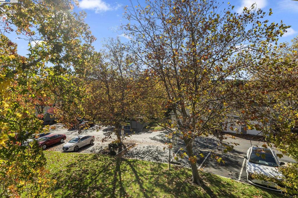 CANYON MEADOWS - Residential