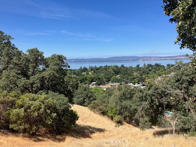2 contiguous parcels totaling over 16000 sq ft of land. Great views overlooking Clearlake and the town of Lucerne. Great opportunity to build your prime residents or second home.