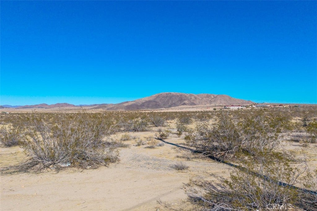 65810 29 Palms