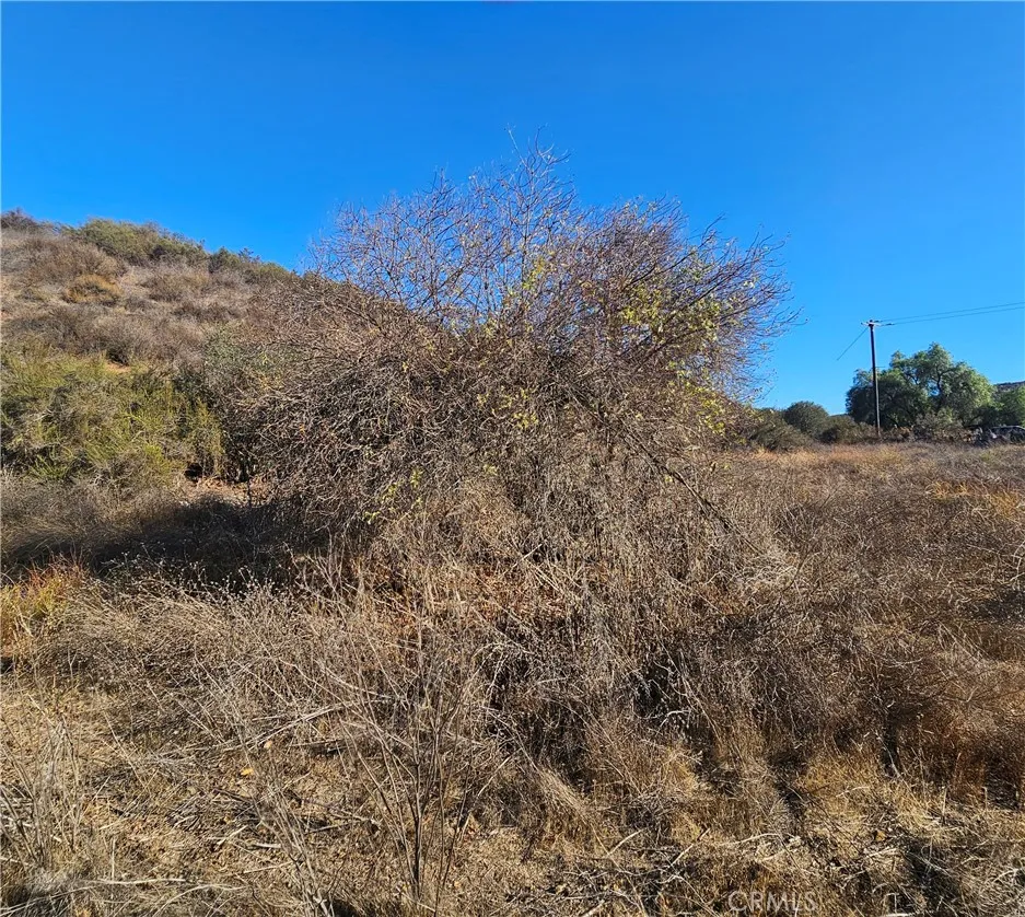 Menifee, California 92584, United States, ,Land,Active,239414