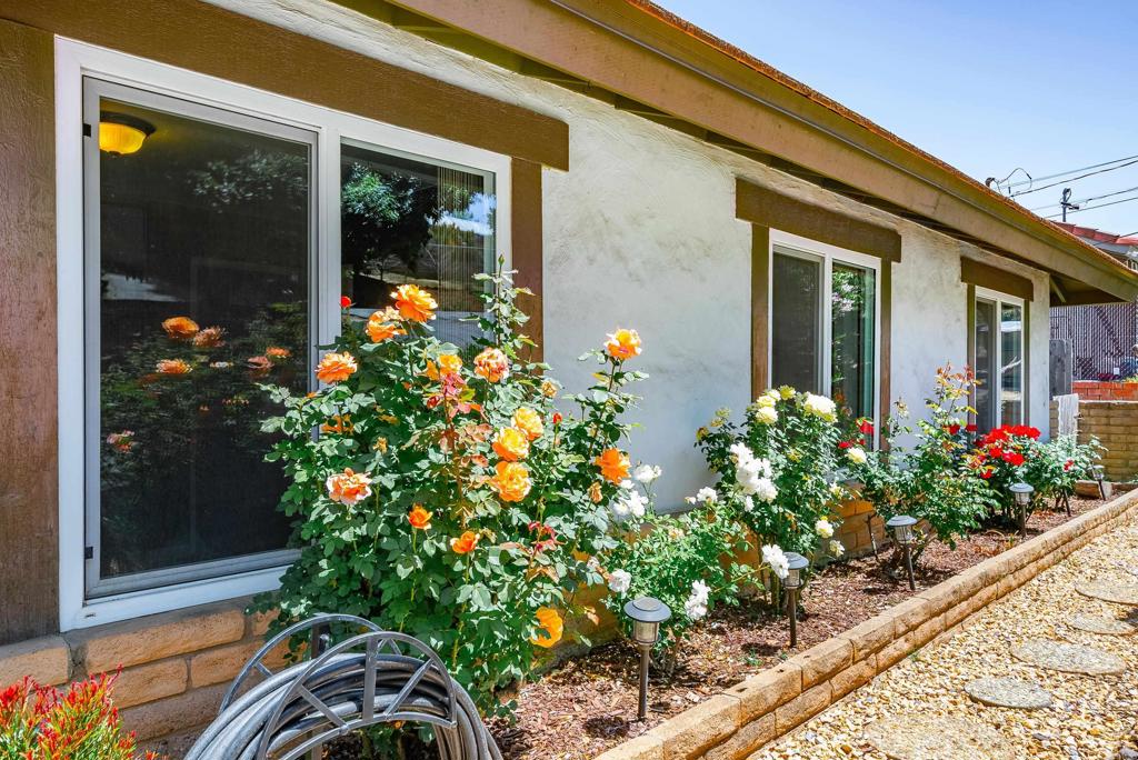 2077 Mountain View Drive