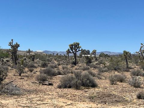 Photo of 171 Yucca Mesa Road, Landers, CA 92285 (MLS # OC25141161) Photo of 171 Yucca Mesa Road, Landers, CA 92285 (MLS # OC25141161)