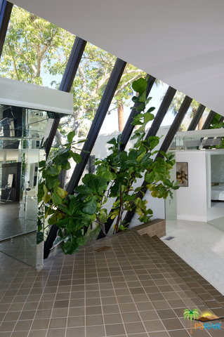 Indian Canyons - Residential