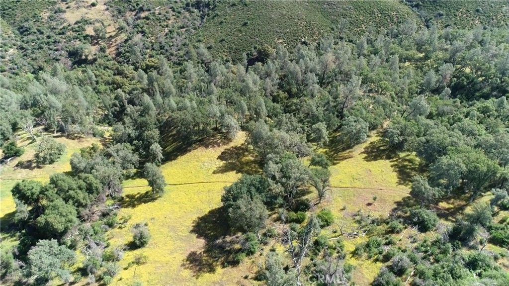 listing image 130727243346248189707