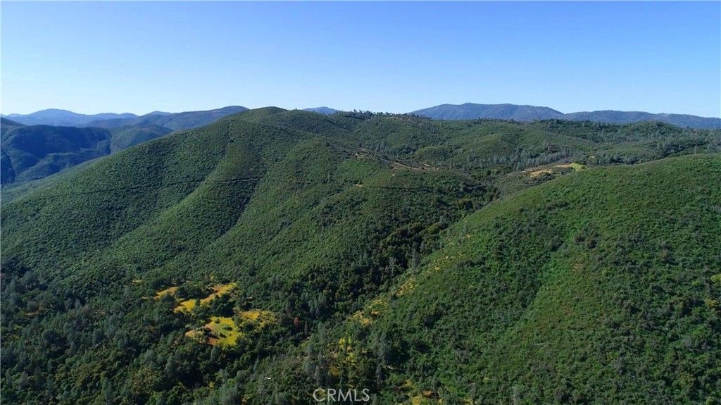 listing image 130728532725854218821