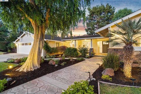 290 Bolla Ave Alamo CA 94507