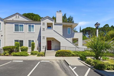 Photo of 627 Norris Canyon Terrace, San Ramon, CA 94583 (MLS # ML82051981)