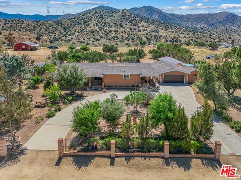 Photo of 640 Foreston Drive, Acton, CA 93510 (MLS # 25548591)