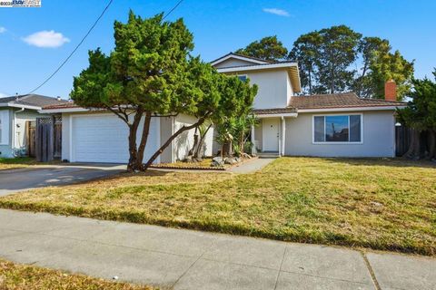 Photo of 14544 Tiburon Rd Rd, San Leandro, CA 94577 (MLS # 41115875) Photo of 14544 Tiburon Rd Rd, San Leandro, CA 94577 (MLS # 41115875)