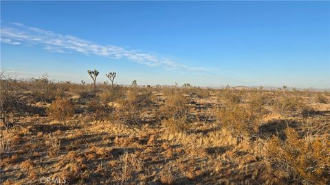 Photo of 0 Avenue U4 & 257th St E, Llano, CA 93544 (MLS # SR25151837)