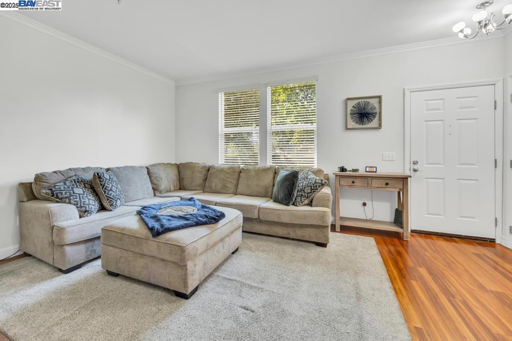 Not Listed - Residential