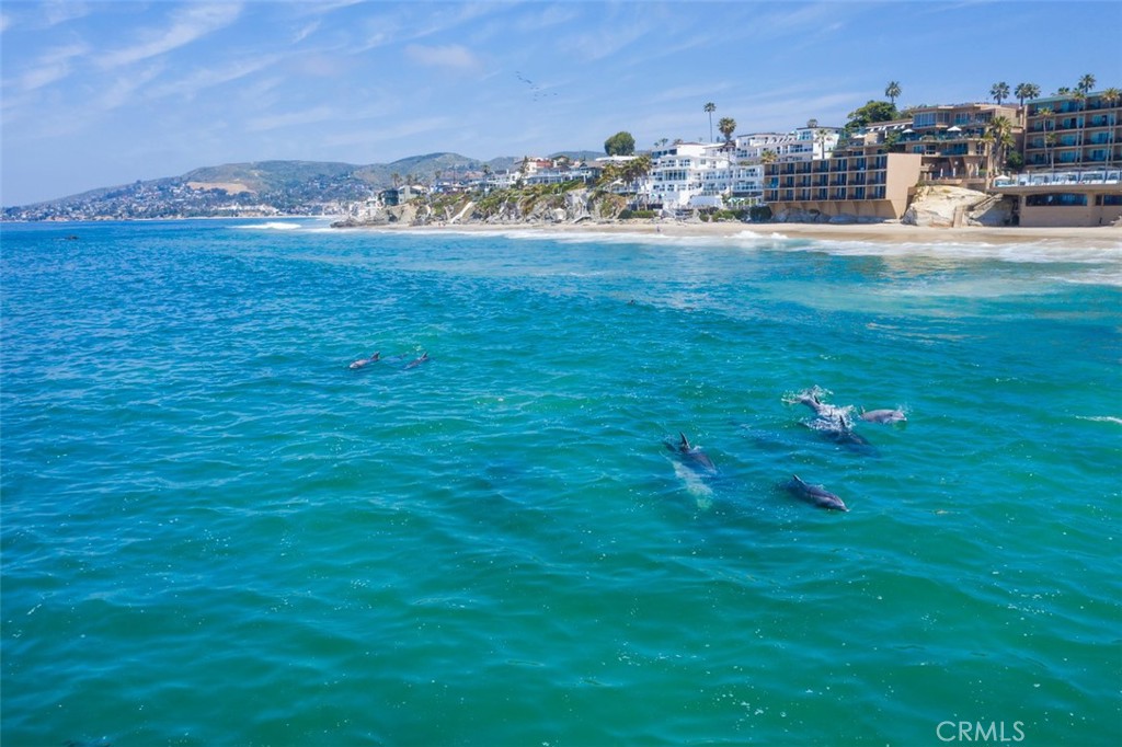 Laguna Royale (LAR) - Residential