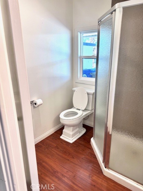 Date Palm - Residential