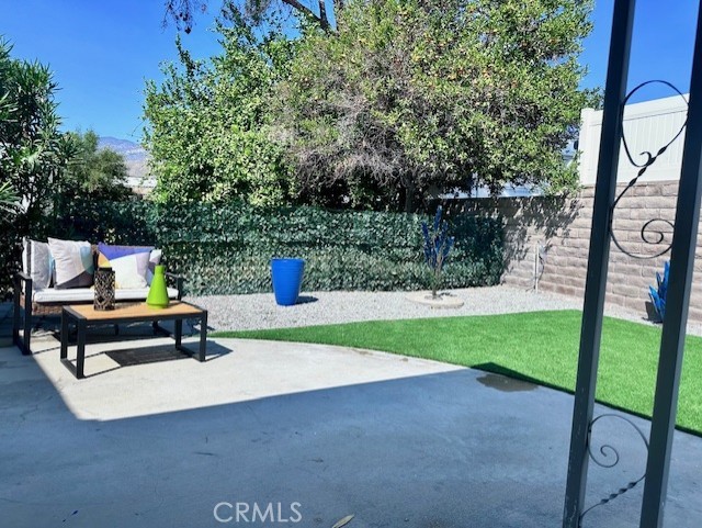 Date Palm - Residential