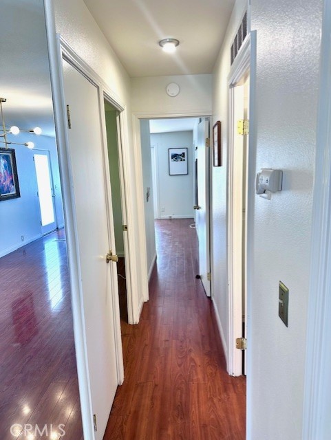 Date Palm - Residential