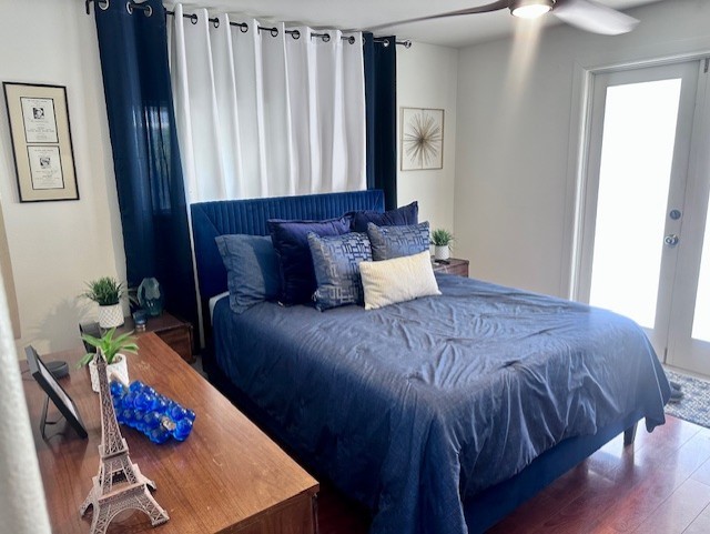 Date Palm - Residential