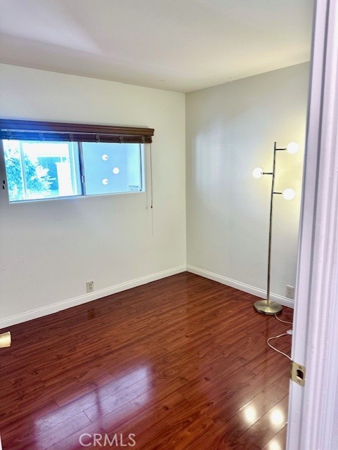 Date Palm - Residential