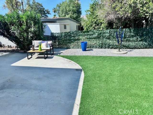 Date Palm - Residential