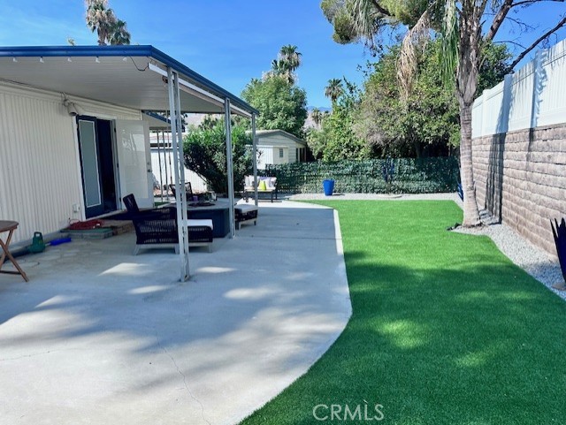 Date Palm - Residential