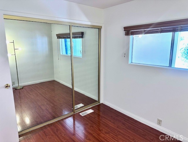 Date Palm - Residential