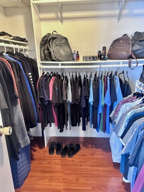 Date Palm - Residential