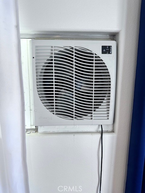 Date Palm - Residential