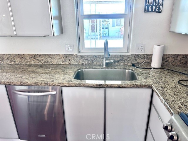 Date Palm - Residential