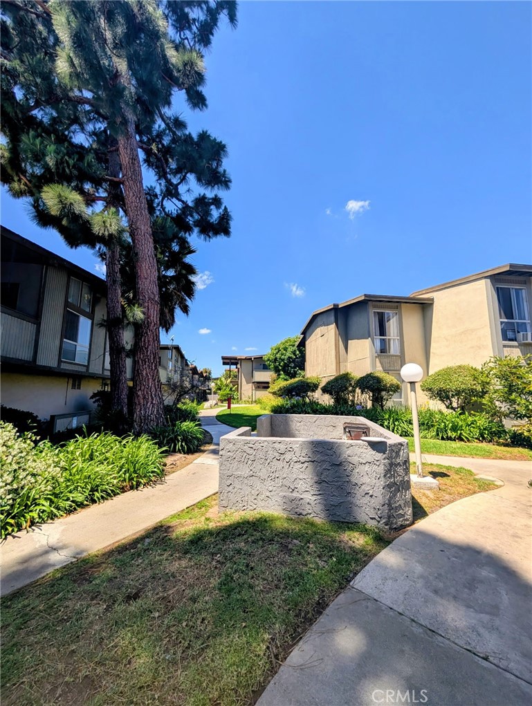 806 Coriander L