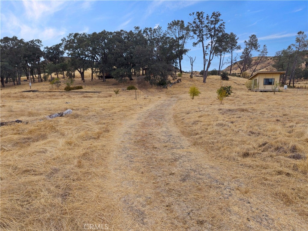 20241 Big Canyon