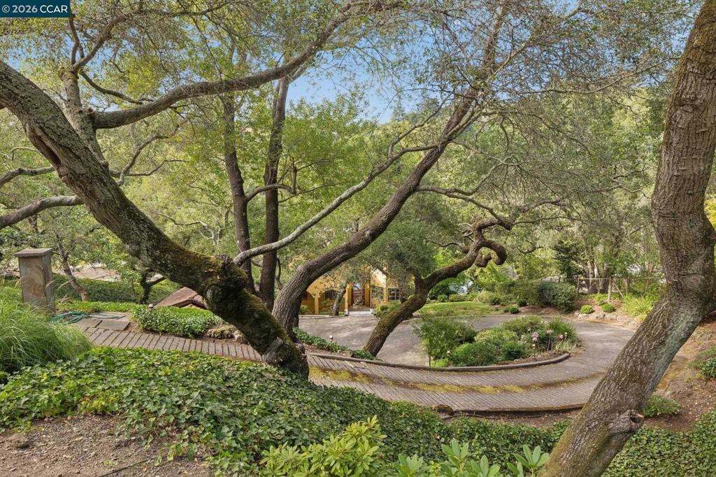 124 CAMINO SOBRANTE