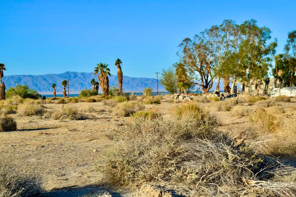 Thermal, California 92274, United States, ,Land,Active,119188