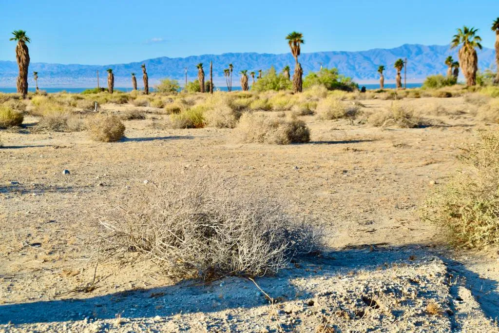 Thermal, California 92274, United States, ,Land,Active,119188