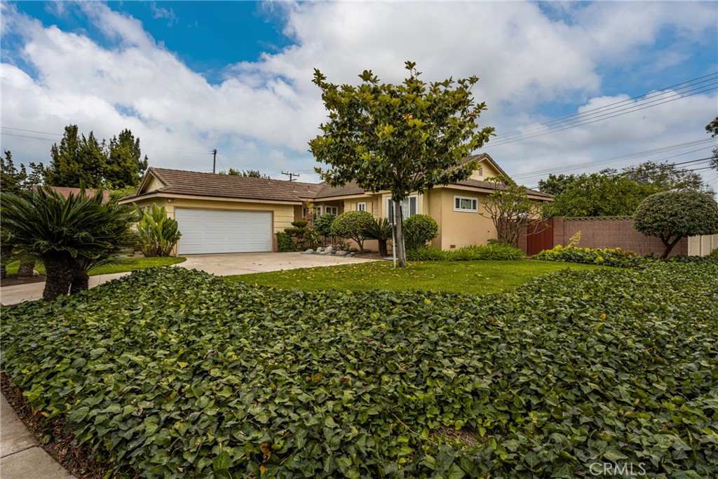 1830 W Chalet Avenue