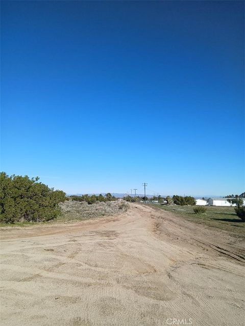 Photo of 0 Yucca Terrace Road, Phelan, CA 92371 (MLS # HD26061800)