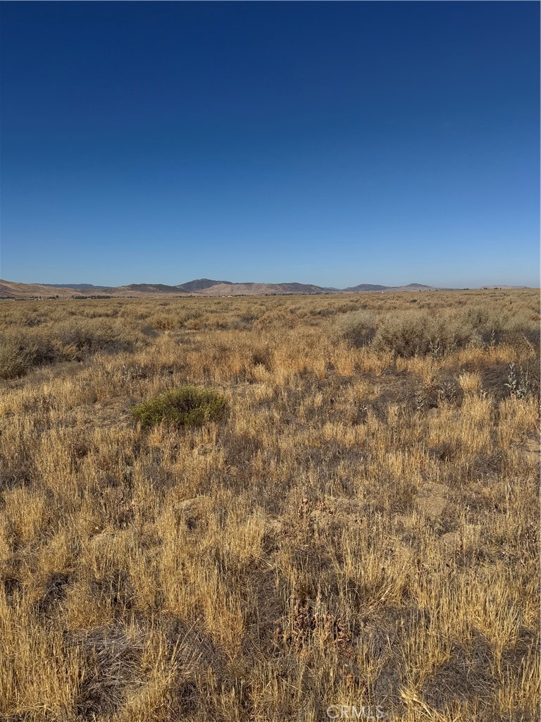 Carrizo Plains/California Valley(62) - Land