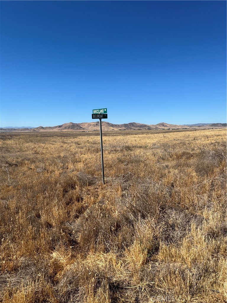 Carrizo Plains/California Valley(62) - Land