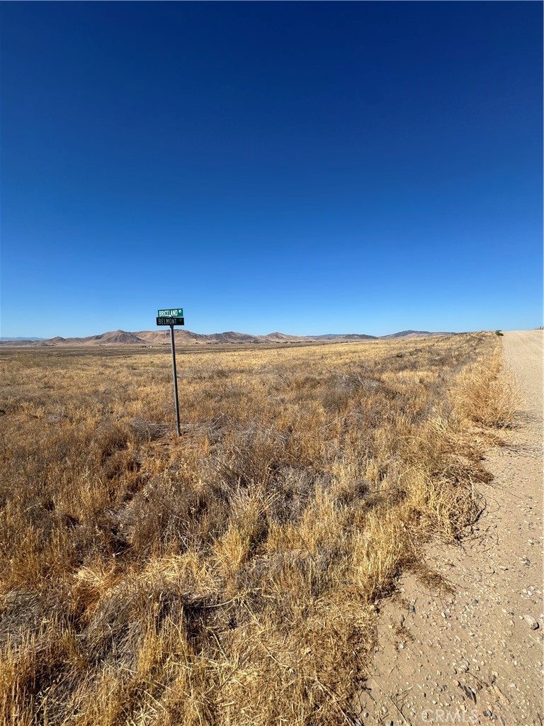 Carrizo Plains/California Valley(62) - Land
