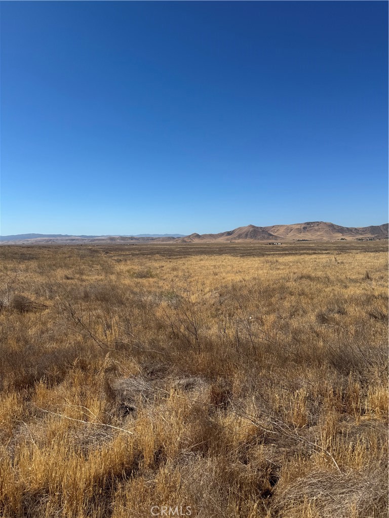 Carrizo Plains/California Valley(62) - Land