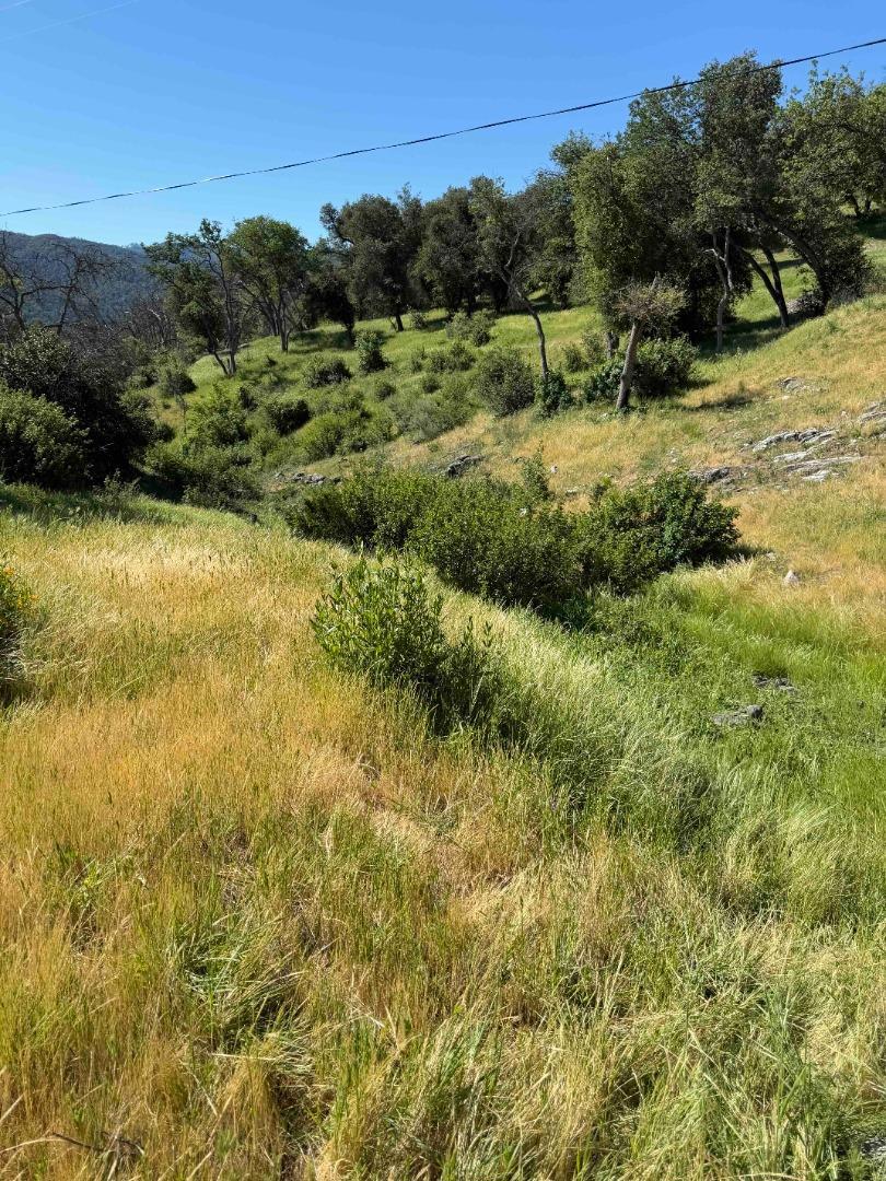 109 Trampa Canyon Road