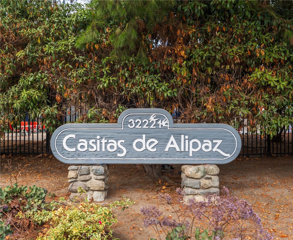 32221 Alipaz 132