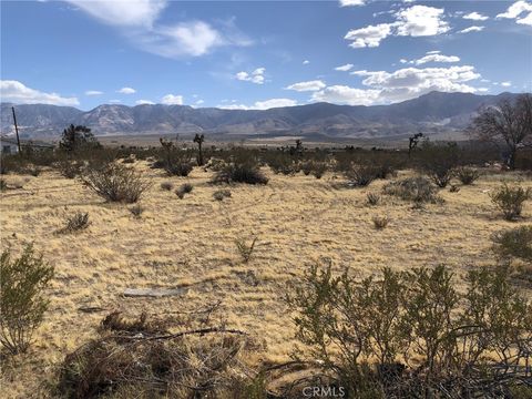 Photo of 31357 Pawnee Street, Lucerne Valley, CA 92356 (MLS # IV25178564) Photo of 31357 Pawnee Street, Lucerne Valley, CA 92356 (MLS # IV25178564)