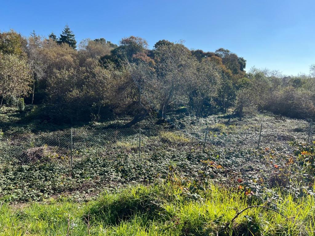 91 Alta Vista Avenue