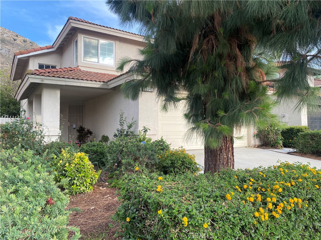 11697 Malagon Drive