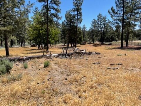 Photo of 59777 Ca-74, Mountain Center, CA 92561 (MLS # 219138989DA)