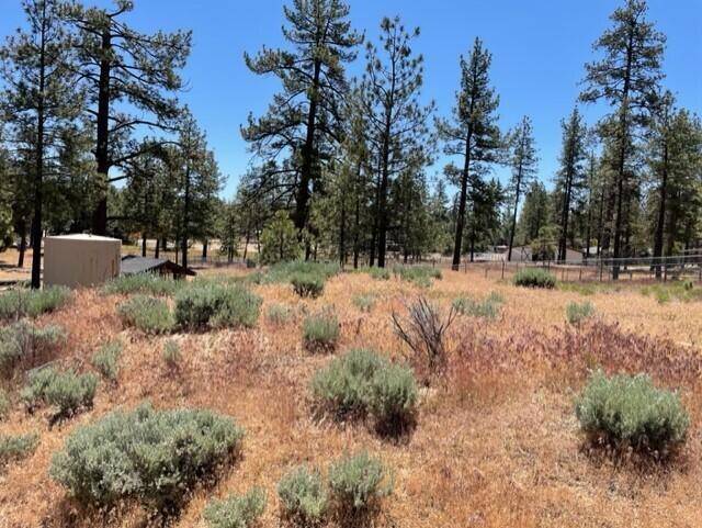 Garner Valley - Land