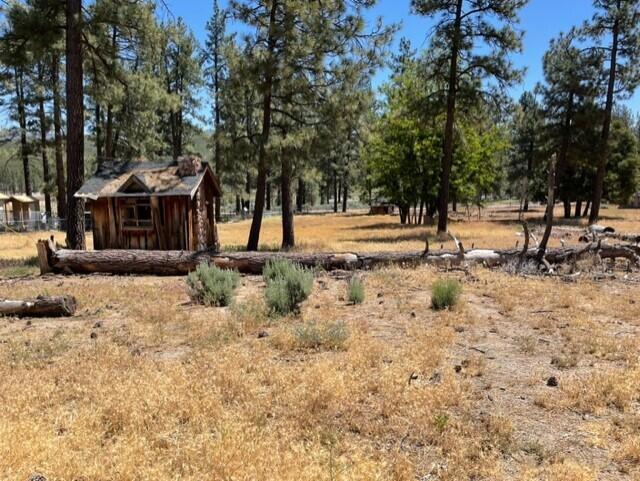 Garner Valley - Land