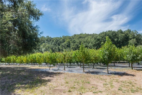 Tiny photo for 10443 Dover Canyon Road, Templeton, CA 93465 (MLS # NS26190527)