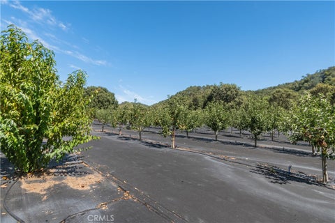 Tiny photo for 10443 Dover Canyon Road, Templeton, CA 93465 (MLS # NS26190527)