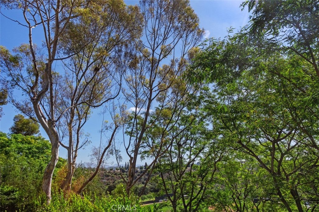 10 Sentinel, Aliso Viejo CA 92656 - Photo 30