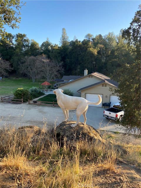 Tiny photo for 1575 Parkhill Road, Santa Margarita, CA 93453 (MLS # NS26109447)